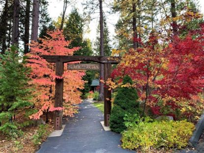 Picture of Black Bear Inn