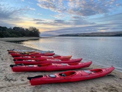 Picture of Tomales Bay Resort, Restaurant, Marina