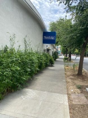 Picture of Travelodge by Wyndham Sacramento Convention