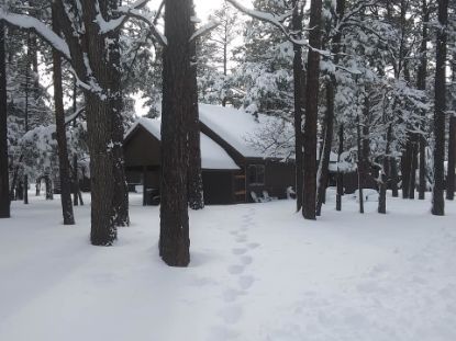 Picture of Moonridge Lodge & Cabins