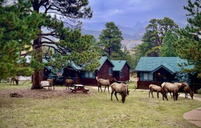 Picture of Mountain Shadows Cabins Estes Park