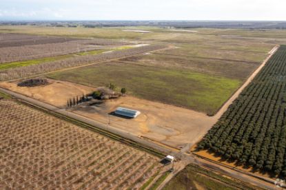 Picture of Tehama County Agricultural Portfolio