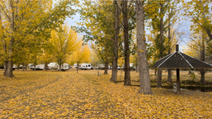 Picture of Uncompahgre River RV Park
